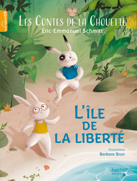 Kniha Les Contes de la Chouette - L'Île de la Liberté Éric-Emmanuel Schmitt