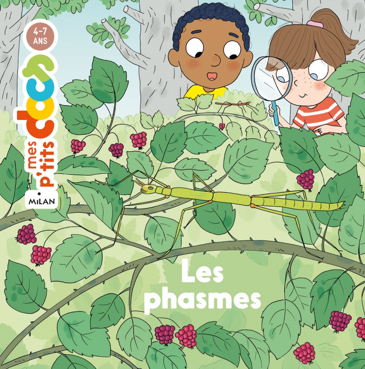 Knjiga Les phasmes Stéphanie Ledu