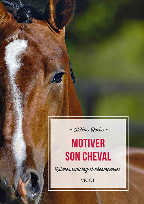 Knjiga Motiver son cheval ROCHE HELENE