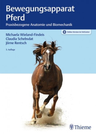 Kniha Bewegungsapparat Pferd Claudia Schebsdat