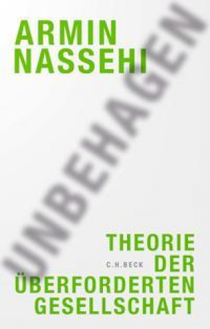 Knjiga Unbehagen Armin Nassehi