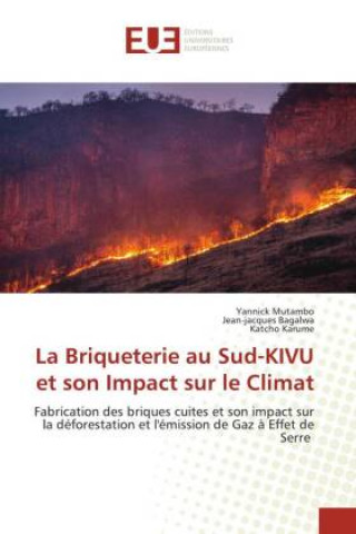 Libro La Briqueterie au Sud-KIVU et son Impact sur le Climat Saoussen Bouacida