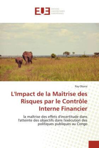 Książka L'Impact de la Maîtrise des Risques par le Contrôle Interne Financier Ray Okana