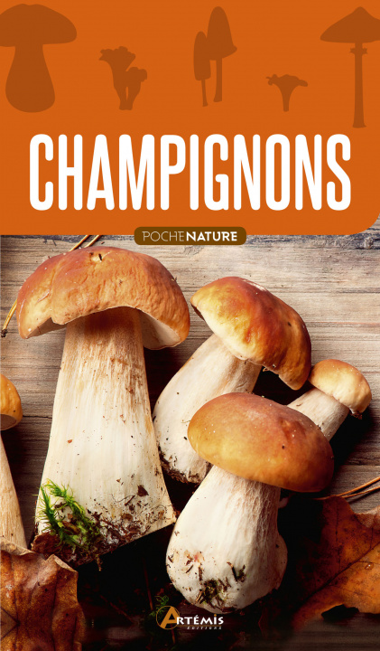 Libro Champignons collegium