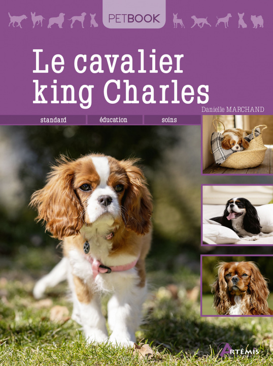 Kniha Le cavalier king Charles Marchand