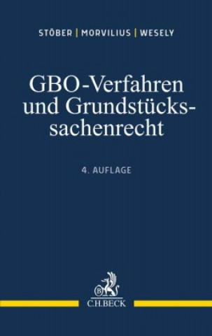 Kniha GBO-Verfahren und Grundstückssachenrecht Theodor Morvilius