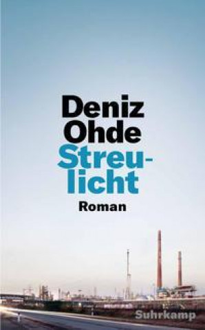 Buch Streulicht Deniz Ohde