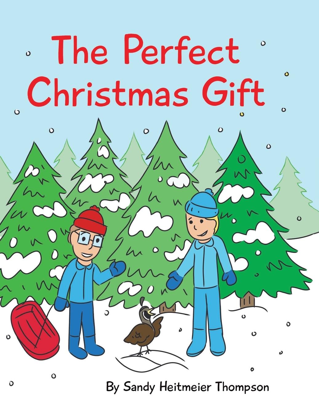Knjiga Perfect Christmas Gift Sandy Heitmeier Thompson