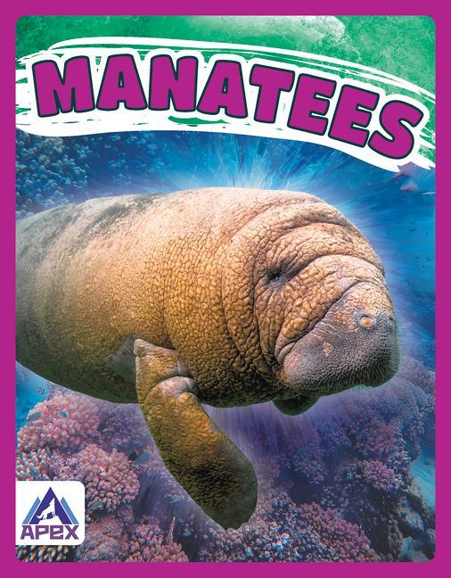 Kniha Giants of the Sea: Manatees Katie Chanez