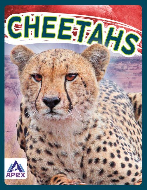 Knjiga Wild Cats: Cheetahs Sophie Geister-Jones