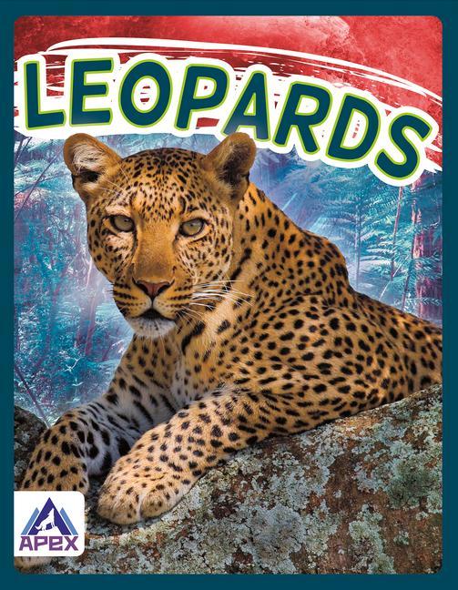 Knjiga Wild Cats: Leopards Sophie Geister-Jones