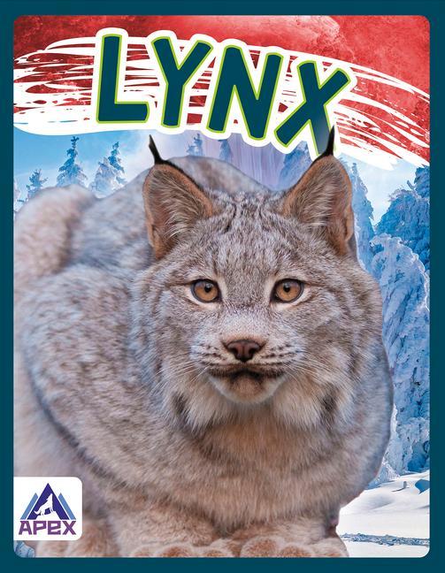 Knjiga Wild Cats: Lynx Sophie Geister-Jones