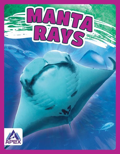 Knjiga Giants of the Sea: Manta Rays Angela Lim