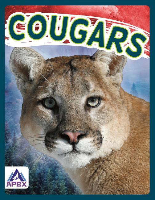 Carte Wild Cats: Cougars 