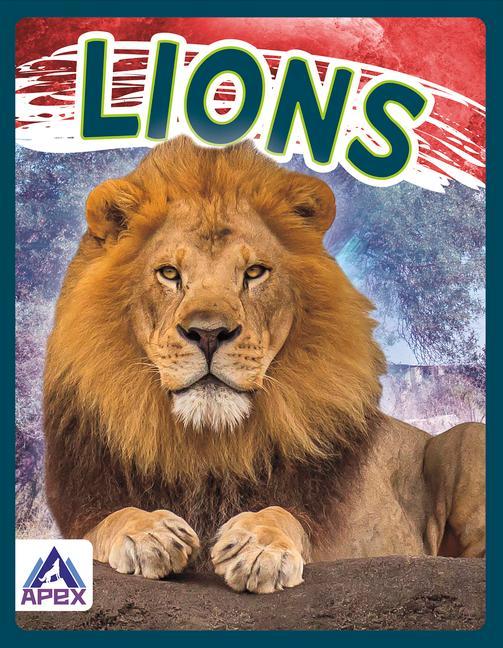 Kniha Wild Cats: Lions 