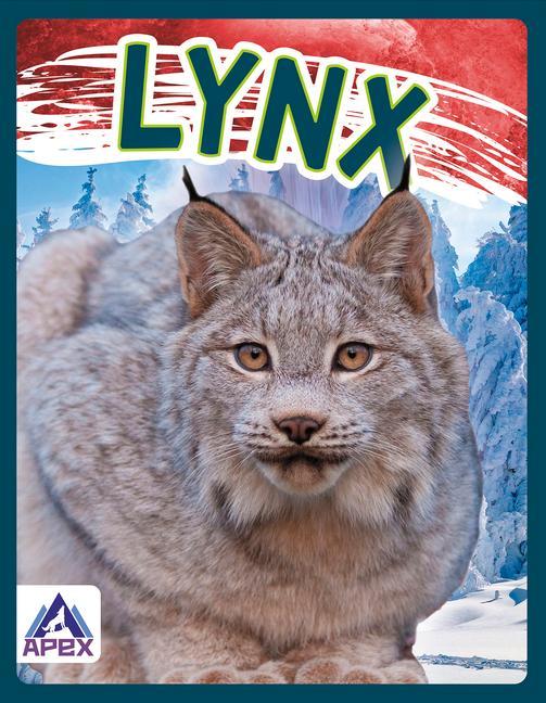 Kniha Wild Cats: Lynx 