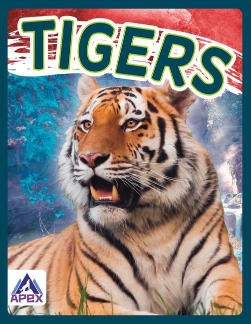 Könyv Wild Cats: Tigers 