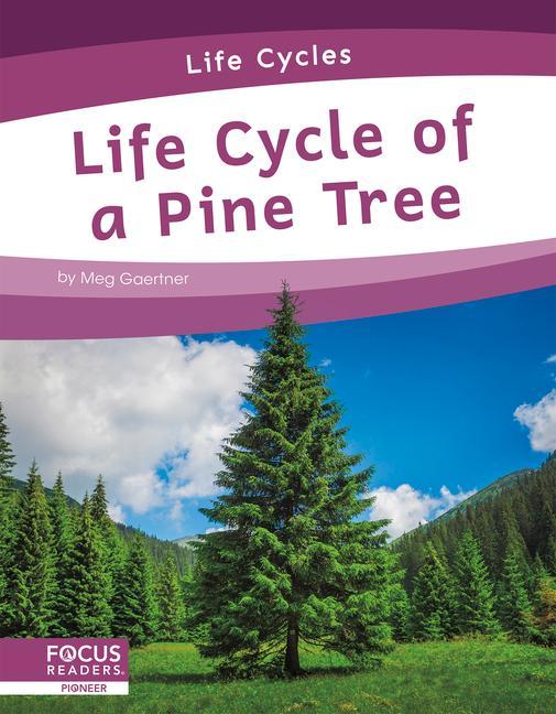Knjiga Life Cycles: Life Cycle of a Pine Tree Meg Gaertner