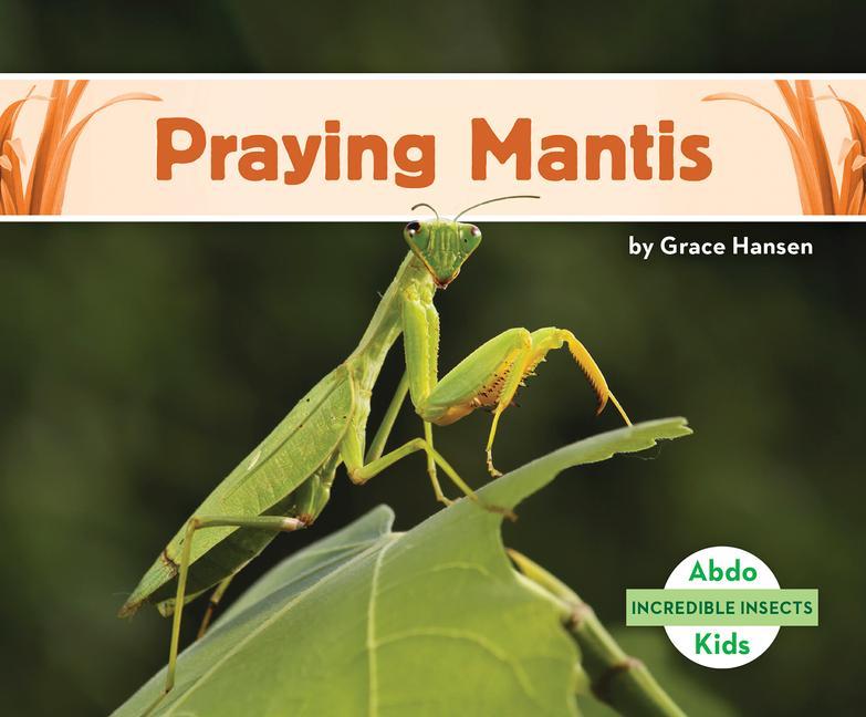 Buch Incredible Insects: Praying Mantis 