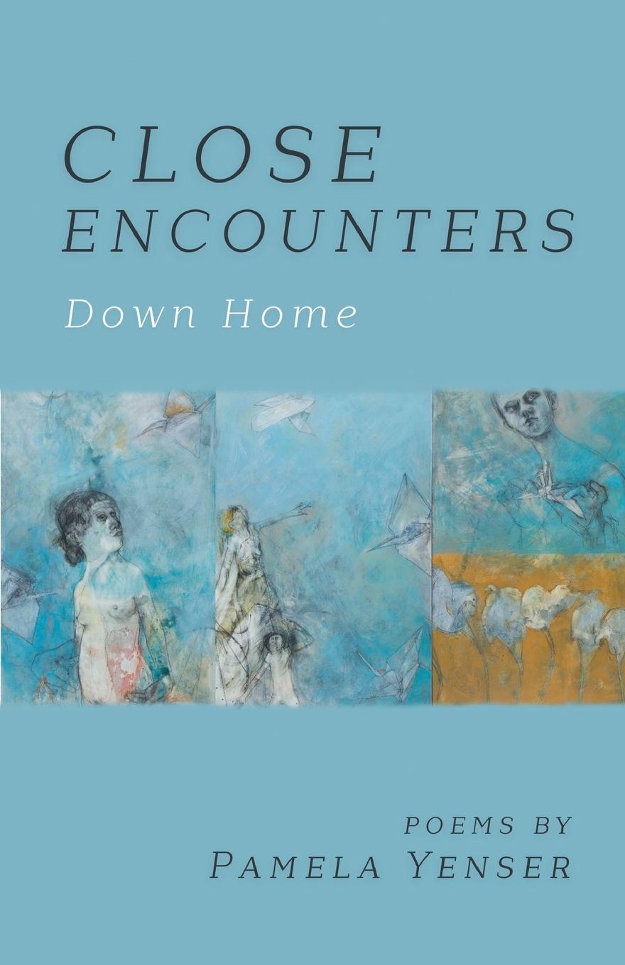 Knjiga CLOSE ENCOUNTERS Down Home Pamela Yenser