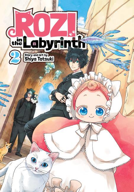 Книга Rozi in the Labyrinth Vol. 2 