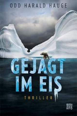 Book Gejagt im Eis Nina Hoyer