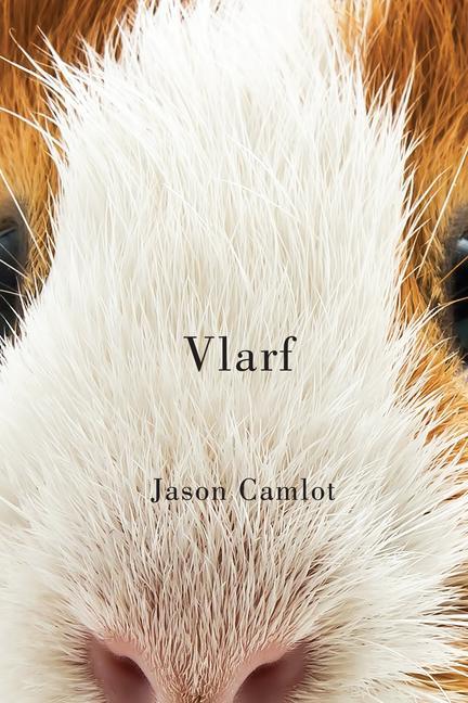 Boek Vlarf Camlot