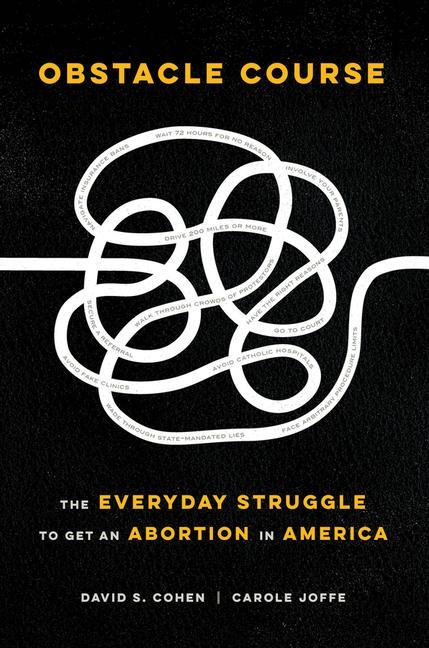 Kniha Obstacle Course David S. Cohen