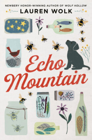 Książka Echo Mountain 