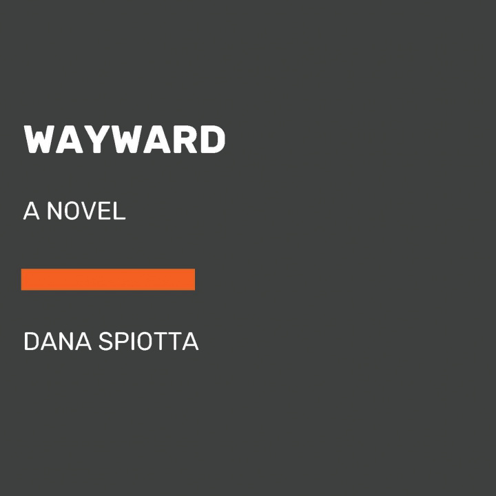 Book Wayward Dana Spiotta