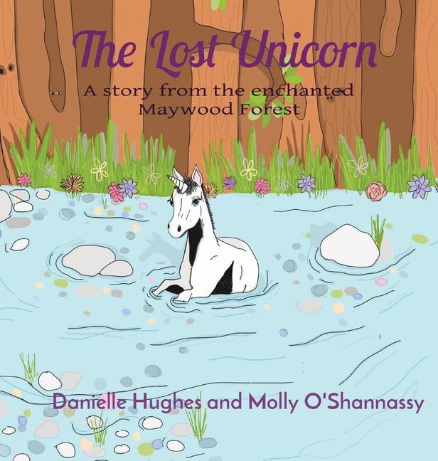 Knjiga Lost Unicorn Hughes Danielle Hughes