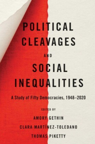 Kniha Political Cleavages and Social Inequalities 