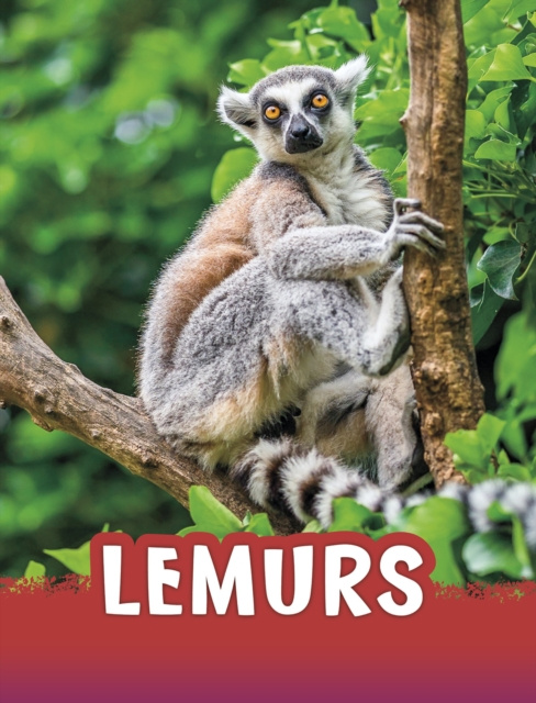 E-knjiga Lemurs Jaclyn Jaycox