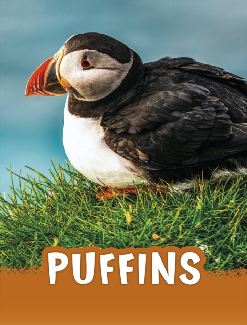 E-knjiga Puffins Jaclyn Jaycox