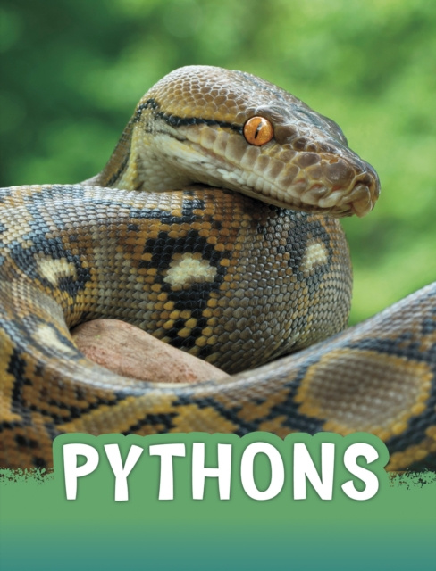 E-knjiga Pythons Martha E. Rustad