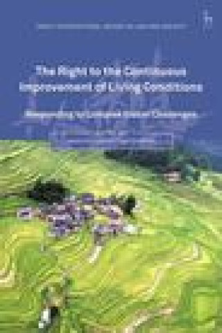 Livre Right to the Continuous Improvement of Living Conditions HOHMANN JESSIE