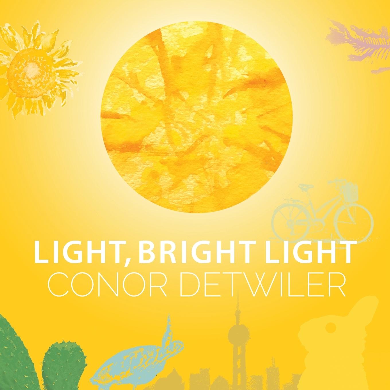 Boek Light, Bright Light Detwiler Conor Detwiler