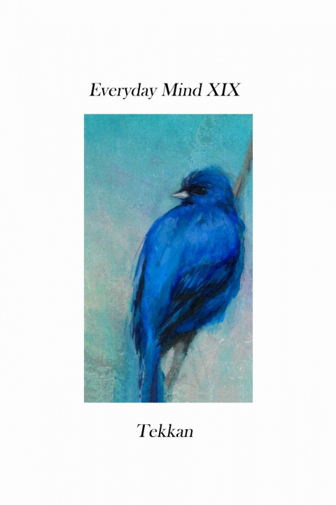 Buch Everyday Mind XIX Tekkan