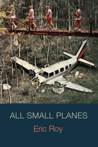 Knjiga All Small Planes Eileen Cleary