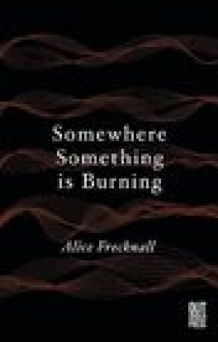 Book Somewhere Something is Burning Alice Frecknall