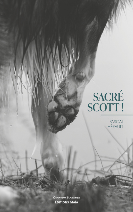 Buch Sacré Scott ! Hérault