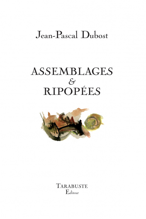 Knjiga ASSEMBLAGES & RIPOPEES - Jean-Pascal Dubost Dubost