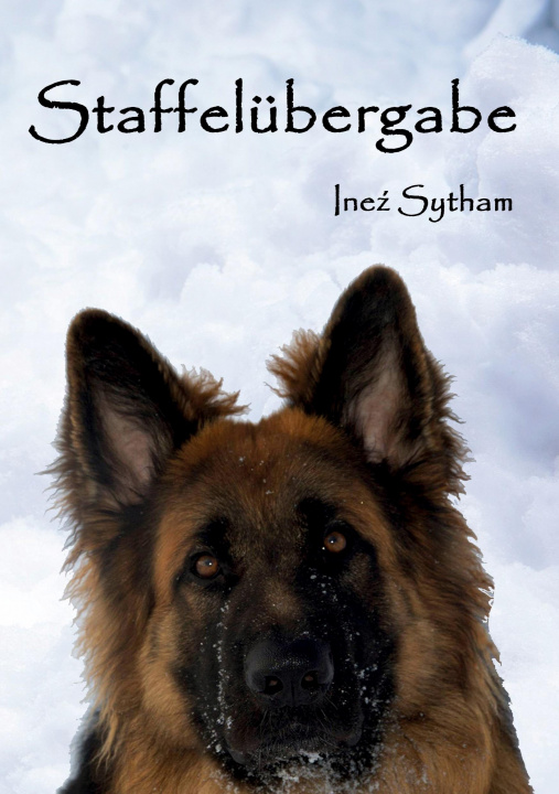 Boek Staffelübergabe Inez Sytham