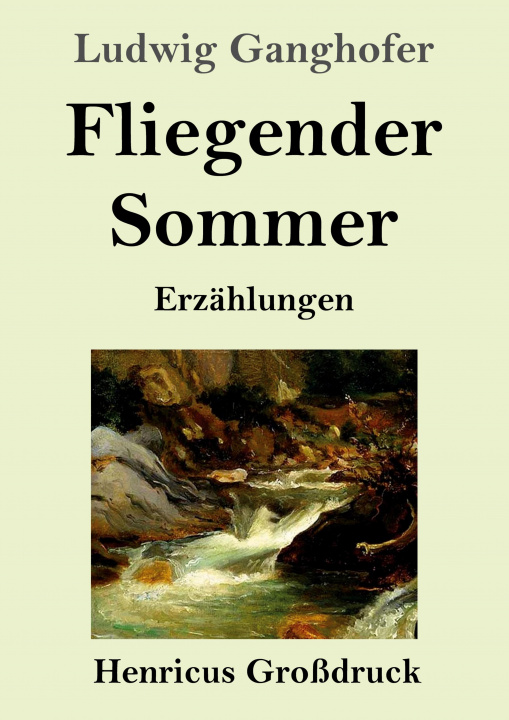 Knjiga Fliegender Sommer (Grossdruck) Ludwig Ganghofer