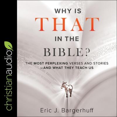 Audio Why Is That in the Bible? Lib/E: The Most Perplexing Verses and Stories-And What They Teach Us Jim Denison