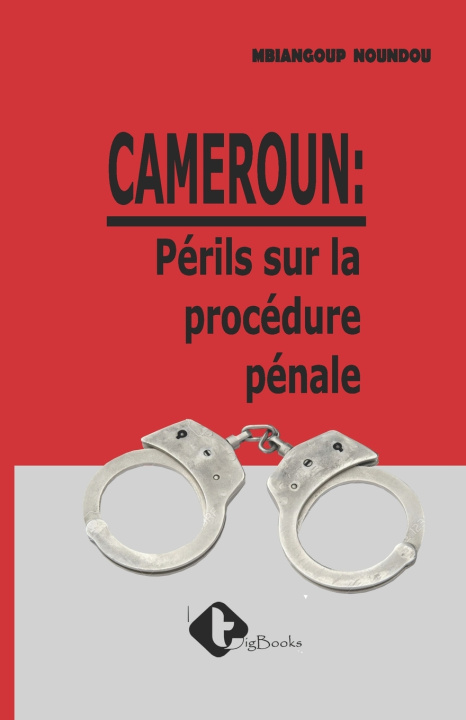 Knjiga Cameroun MBIANGOUP NOUNDOU MBIANGOUP