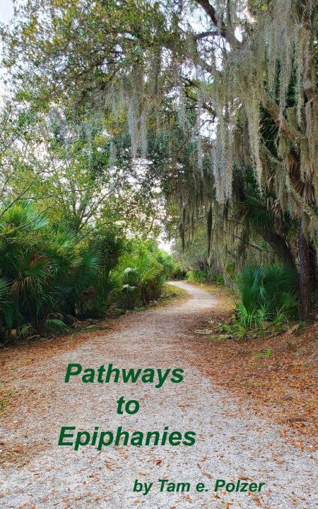 Knjiga Pathways to Epiphanies Polzer Tam e. Polzer