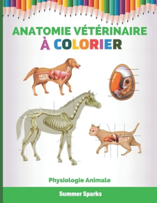 Kniha Anatomie Veterinaire a Colorier Sparks Summer Sparks