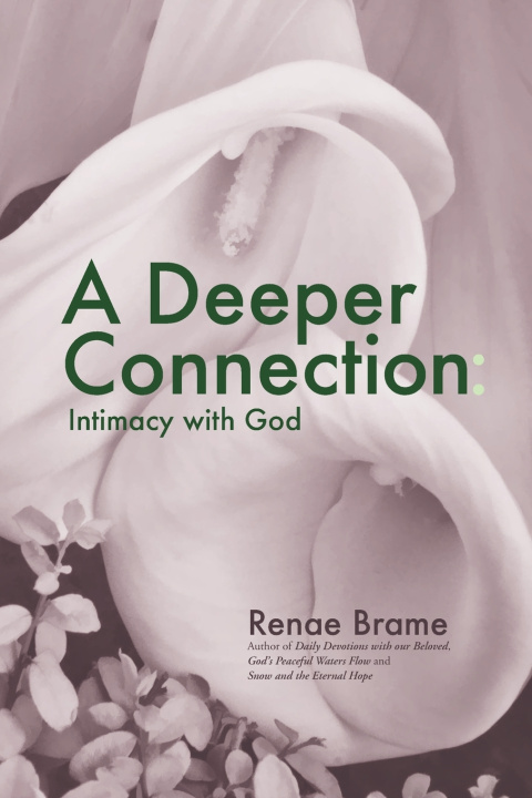 Knjiga Deeper Connection Brame Renae Brame