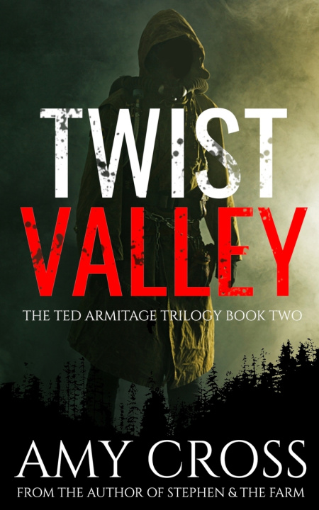 Book Twist Valley Cross Amy Cross